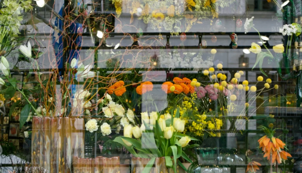 Dicas para fotografar melhor