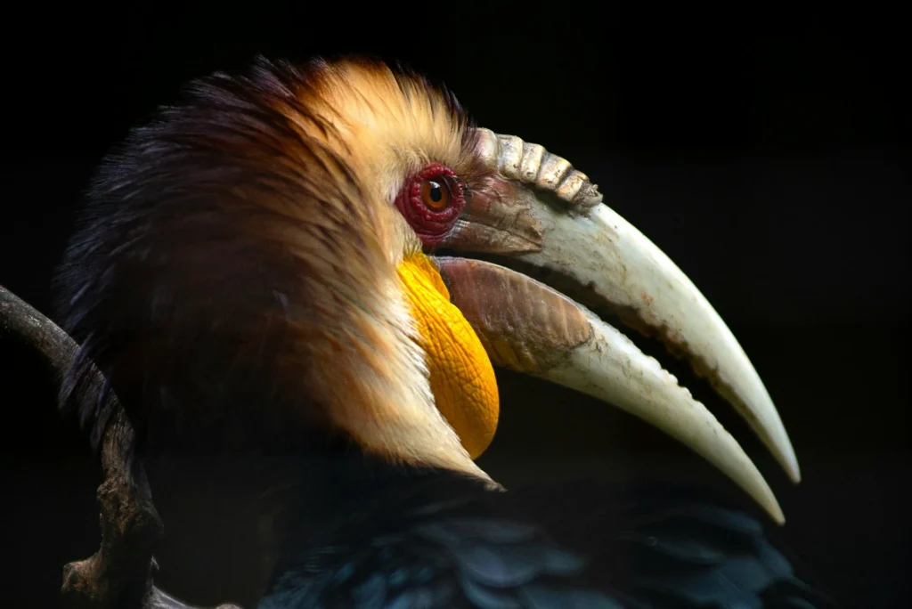 news 11614 1770930166