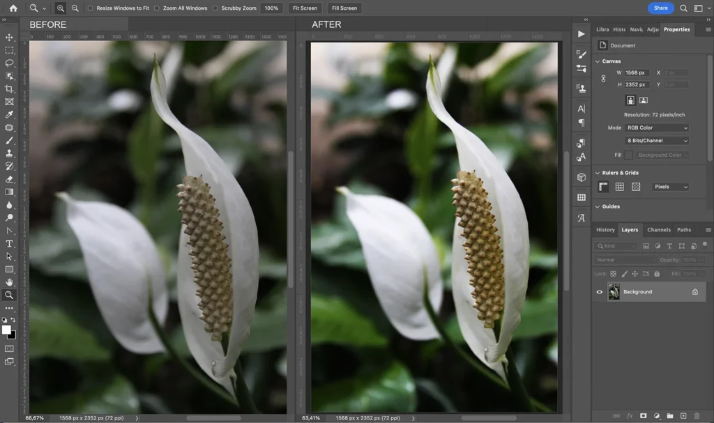 news 11653 1771326114