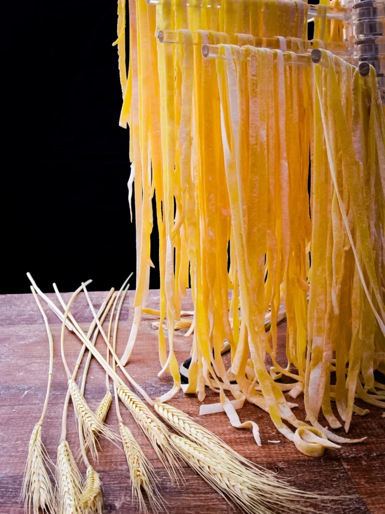 Fotos da Aluna: Carol