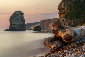 news 11805 1772563045