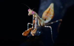 news 11818 1772741678