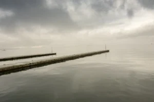 news 11821 1773097342