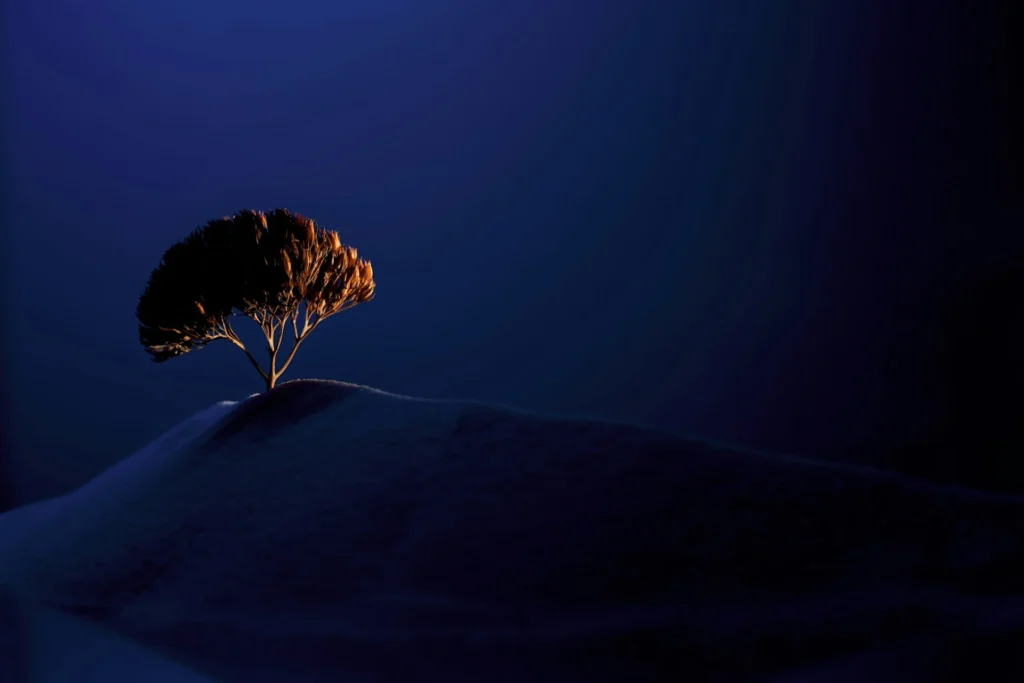 news 11893 1774463764