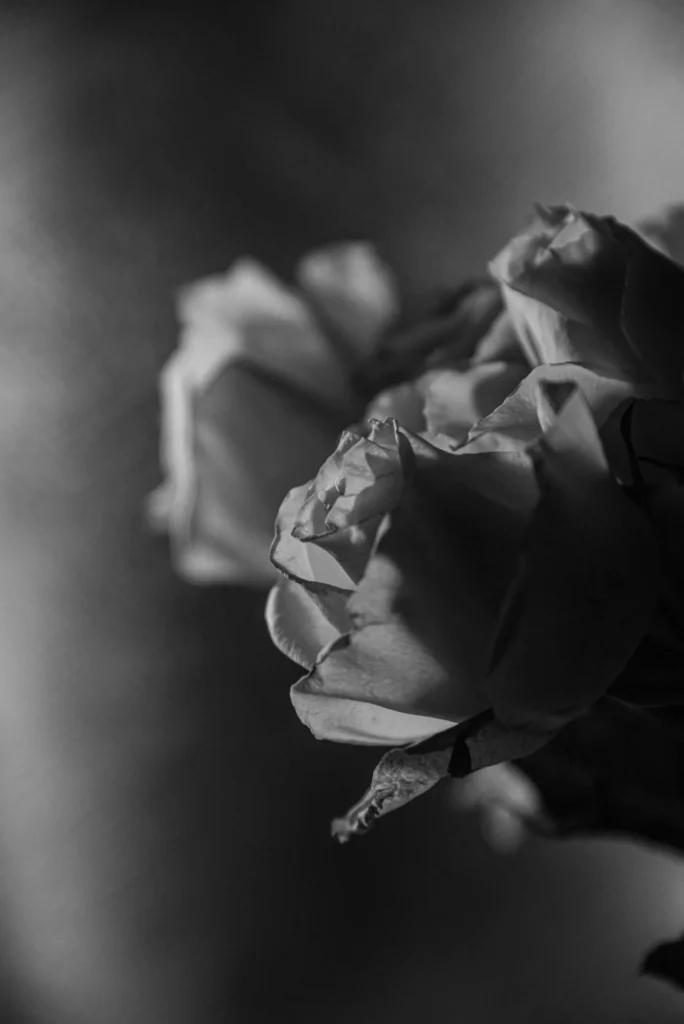 news 11914 1775169300