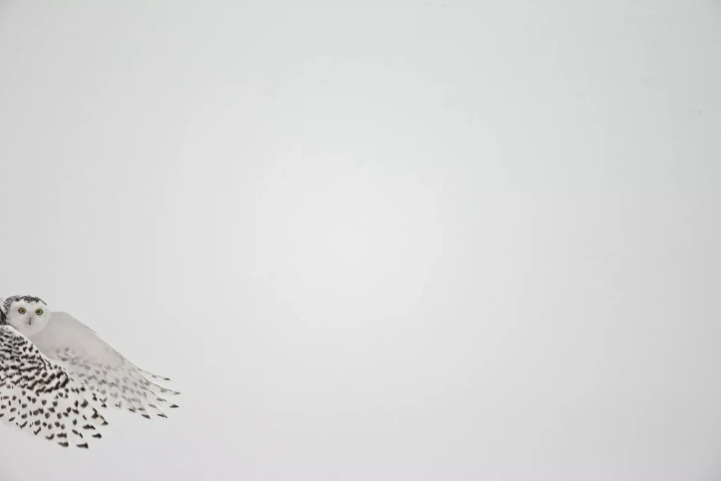 news 11924 1775502030