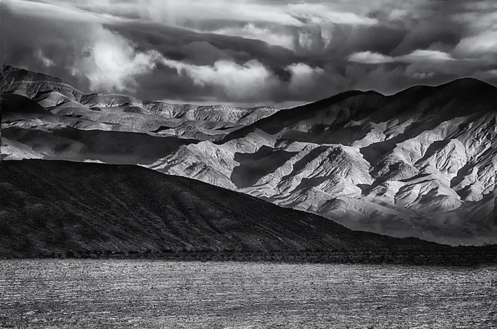 news 11931 1775676907