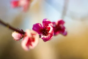 news 11967 1776890032